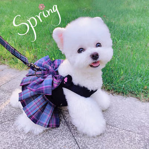 Pet Dog Cat Clothes Summer Spring Dog Dress with Harness Leash Chihuahua Bichon Cute Skirt for Small Dogs Luxury Puppy Dresses