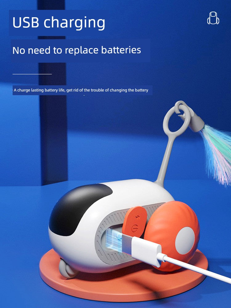 Remote Control Cat Car