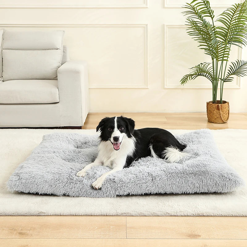 Cozy Plush Dog Haven - Luxury Petz
