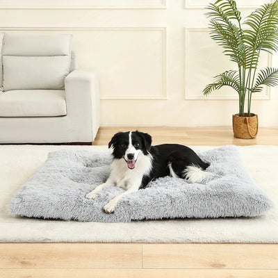 Cozy Plush Dog Haven - Luxury Petz