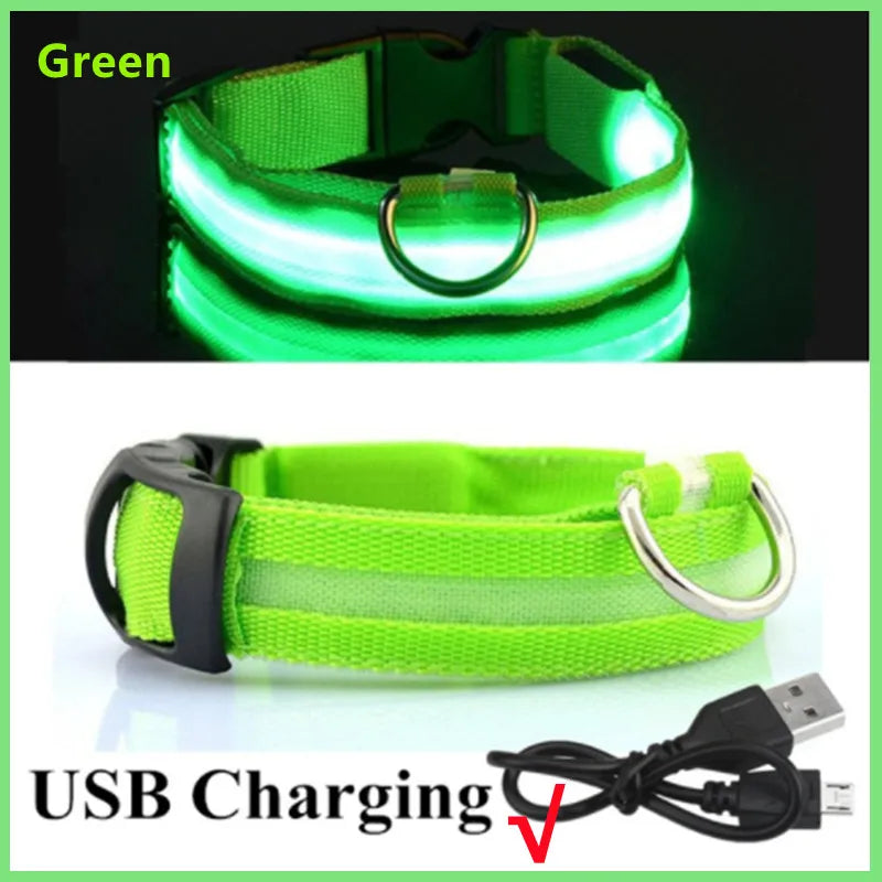 GlowSafe LED Pet Collar - Luxury Petz