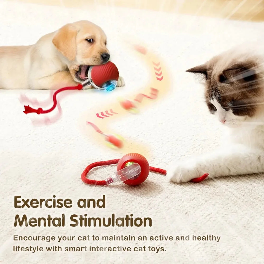 Smart Cat Rolling Toy - Luxury Petz