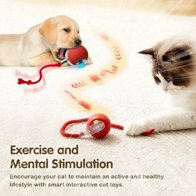 Smart Cat Rolling Toy - Luxury Petz