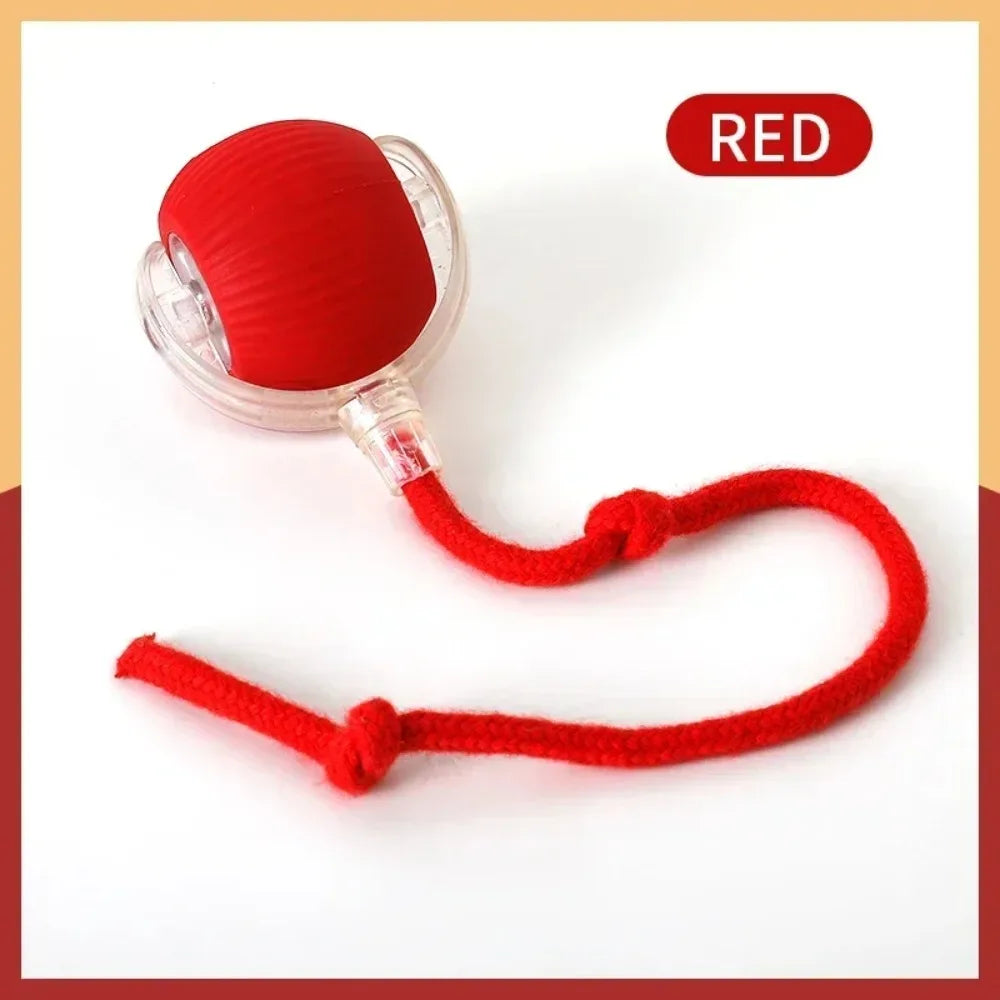 Smart Cat Rolling Toy - Luxury Petz