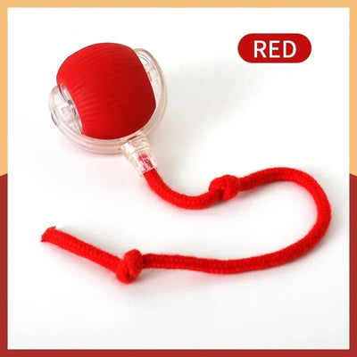 Smart Cat Rolling Toy - Luxury Petz