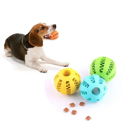 Bouncy Bliss Interactive Ball - Luxury Petz