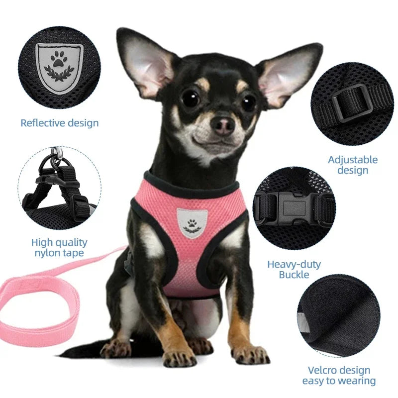 Summer Pet Harness Vest - Luxury Petz