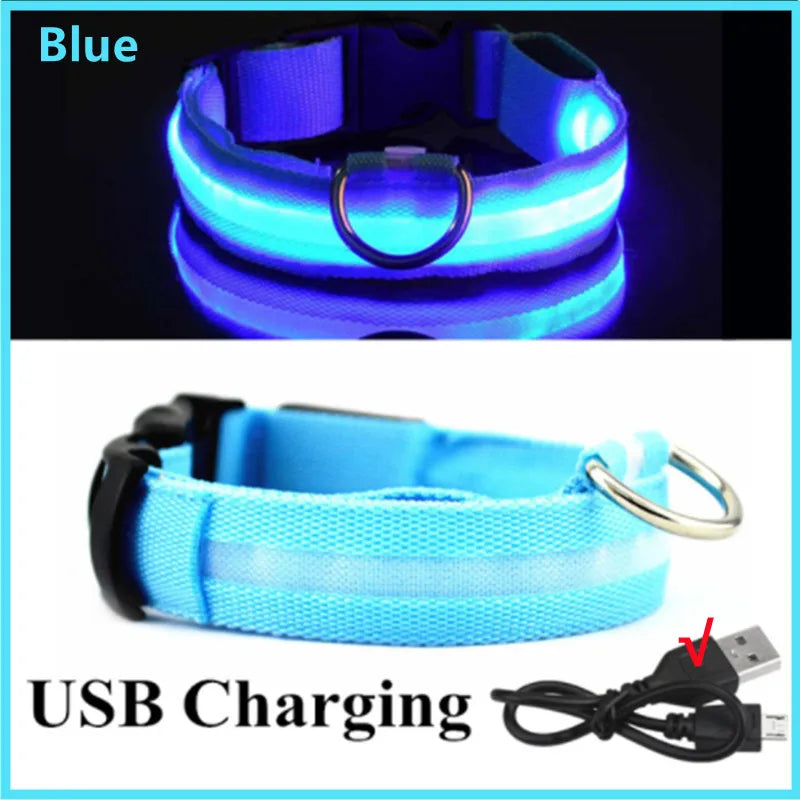 GlowSafe LED Pet Collar - Luxury Petz