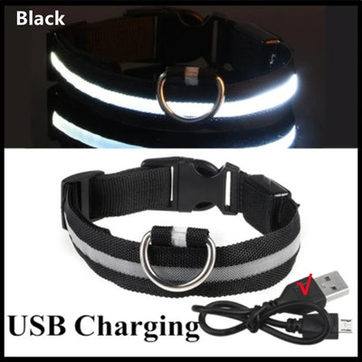 GlowSafe LED Pet Collar - Luxury Petz