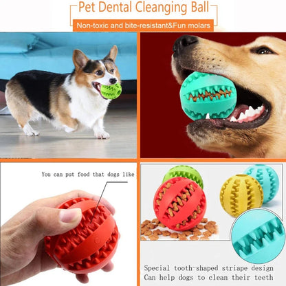 Interactive Chew Toy Ball - Luxury Petz