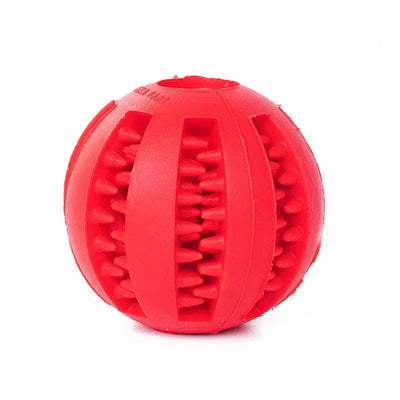 Bouncy Bliss Interactive Ball - Luxury Petz