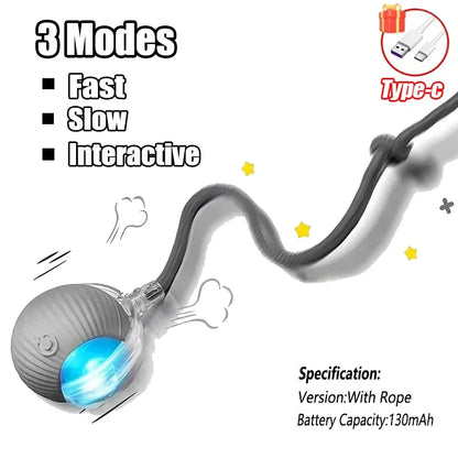 Interactive Cat Tail Ball