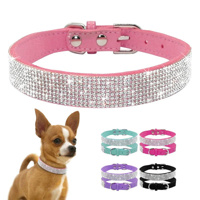 Glittering Crystal Dog Collar - Luxury Petz