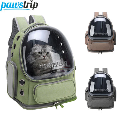 Transparent Cat Carrier Bag - Luxury Petz