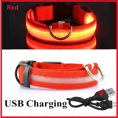 GlowSafe LED Pet Collar - Luxury Petz