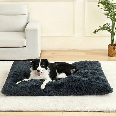 Cozy Plush Dog Haven - Luxury Petz