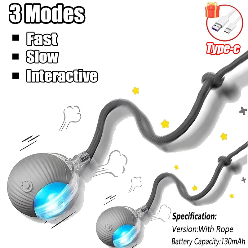 Interactive Cat Tail Ball