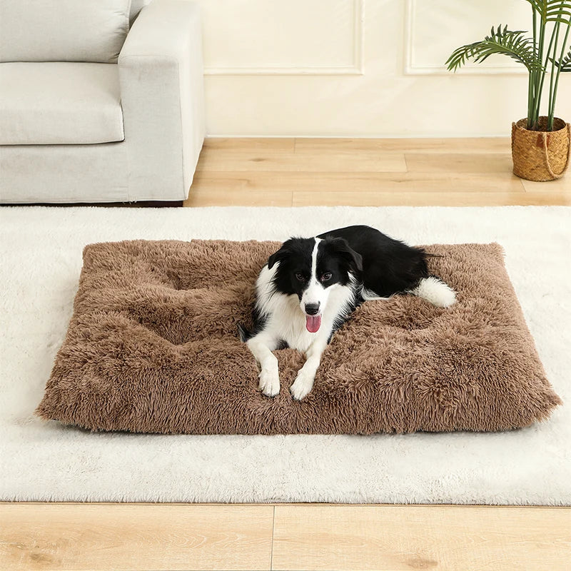 Cozy Plush Dog Haven - Luxury Petz