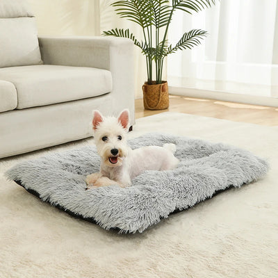 Cozy Plush Dog Haven - Luxury Petz