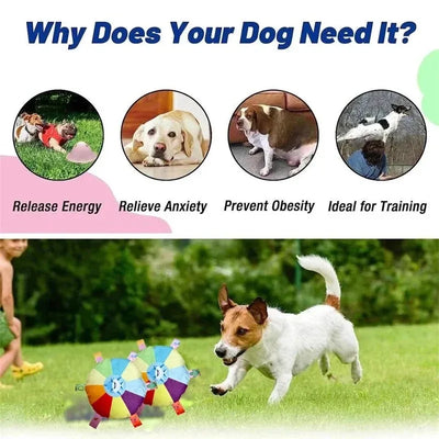 Rainbow UFO Dog - Luxury Petz