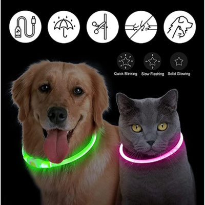 GlowSafe LED Pet Collar - Luxury Petz