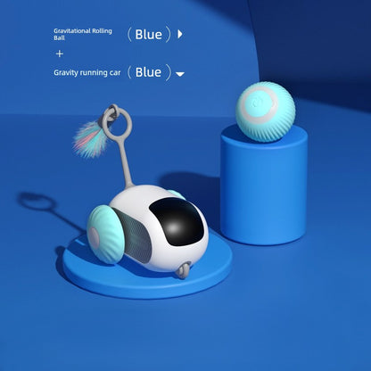 Remote Control Cat Car