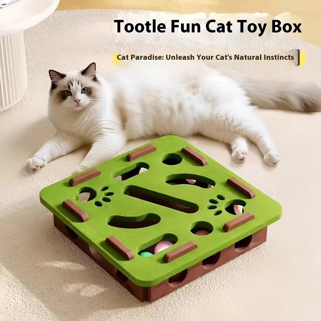 Interactive Cat Puzzle Box