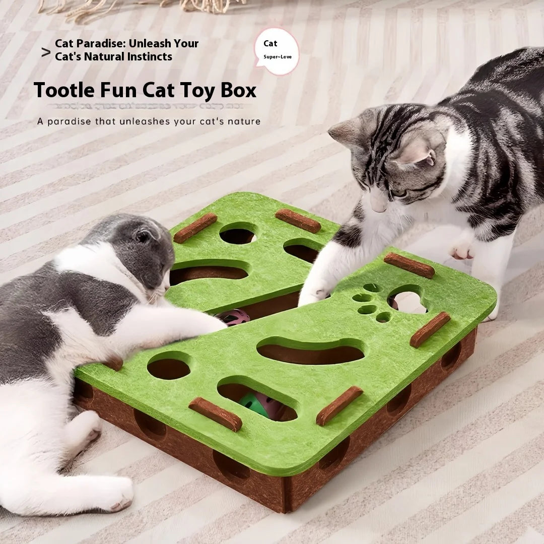 Interactive Cat Puzzle Box