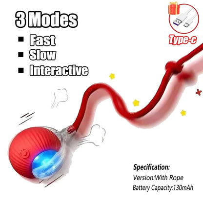 Interactive Cat Tail Ball