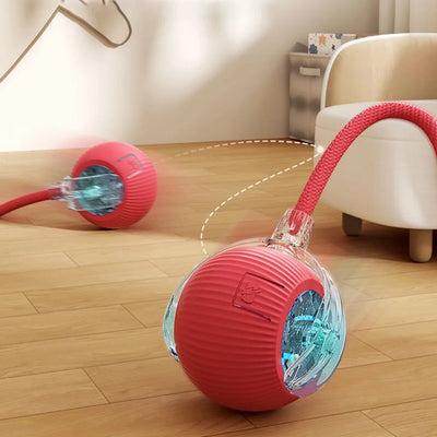 Smart Cat Rolling Toy - Luxury Petz
