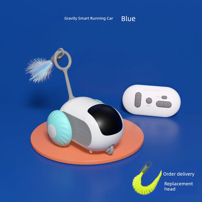 Remote Control Cat Car