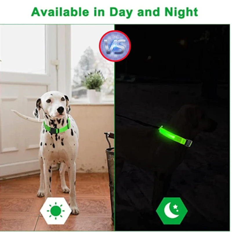 GlowSafe LED Pet Collar - Luxury Petz