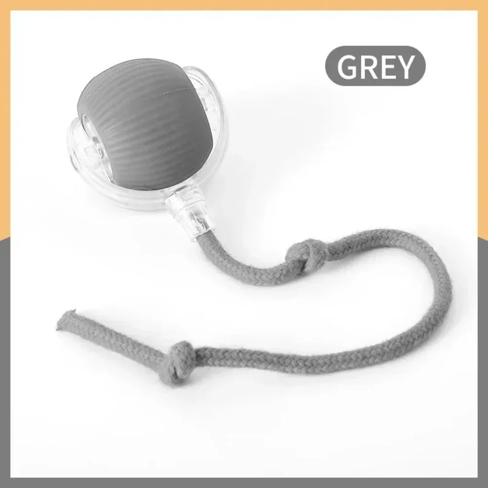 Smart Cat Rolling Toy - Luxury Petz
