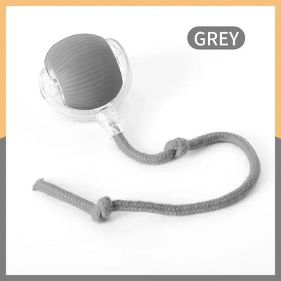 Smart Cat Rolling Toy - Luxury Petz