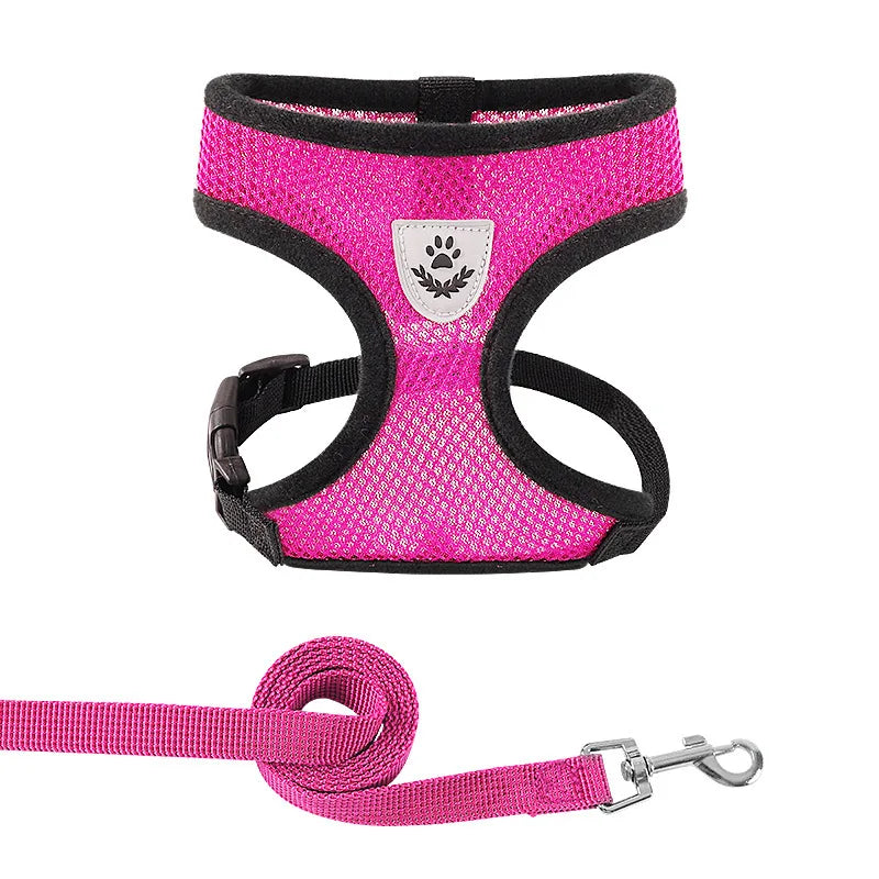 Summer Pet Harness Vest - Luxury Petz