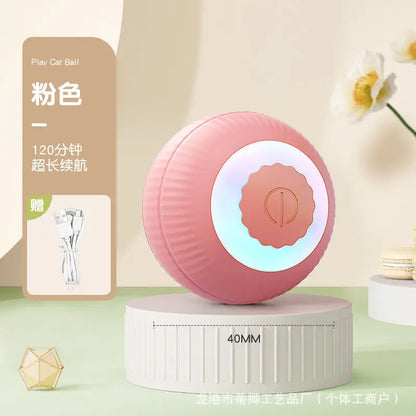 Interactive Cat Tail Ball