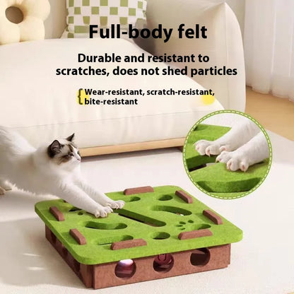 Interactive Cat Puzzle Box