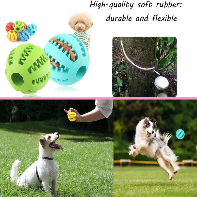 Interactive Chew Toy Ball - Luxury Petz