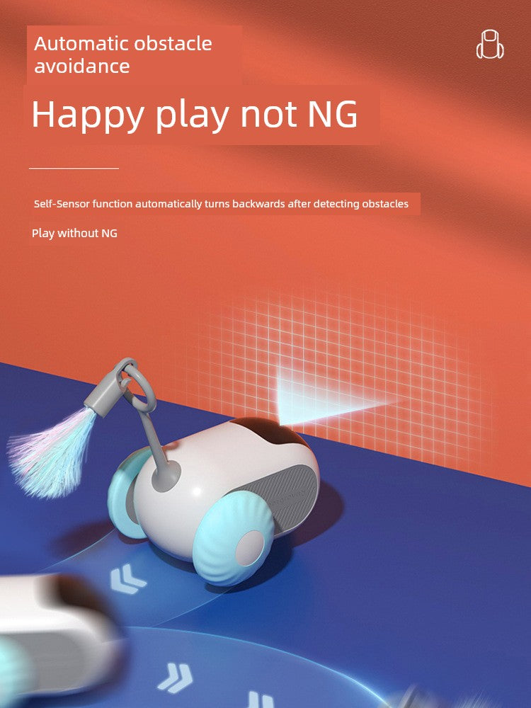 Remote Control Cat Car