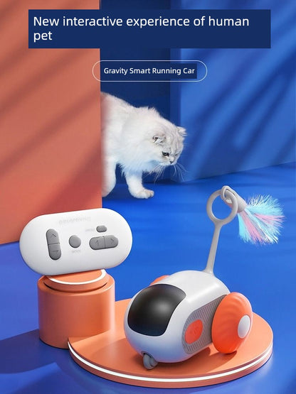 Remote Control Cat Car