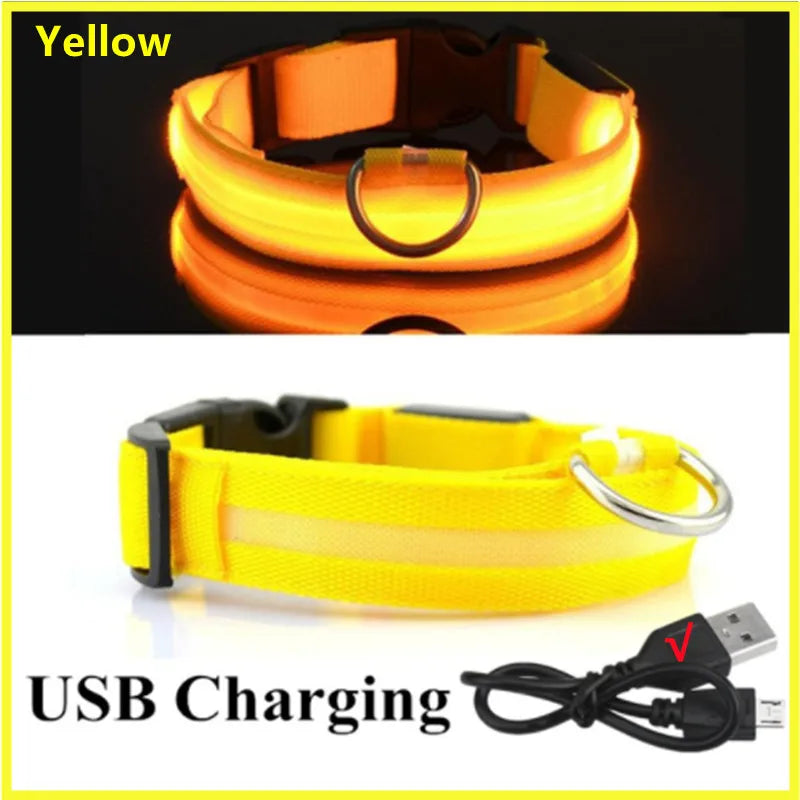 GlowSafe LED Pet Collar - Luxury Petz
