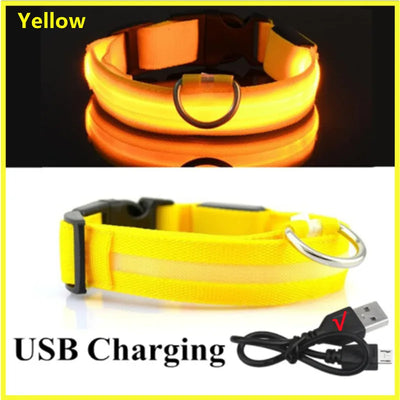 GlowSafe LED Pet Collar - Luxury Petz