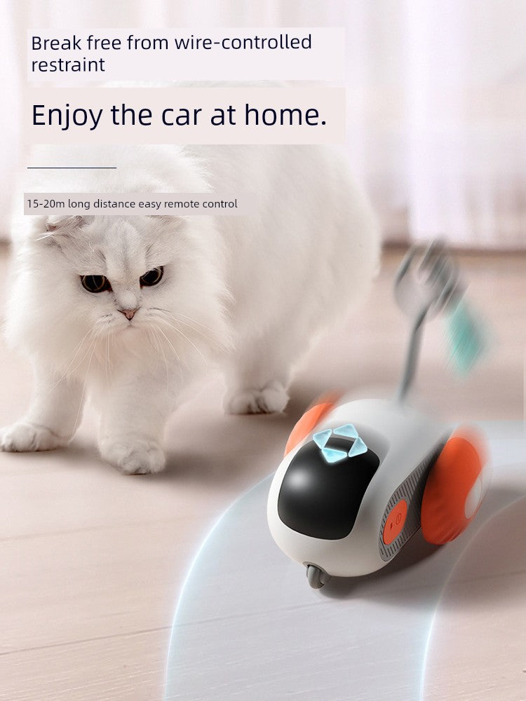 Remote Control Cat Car
