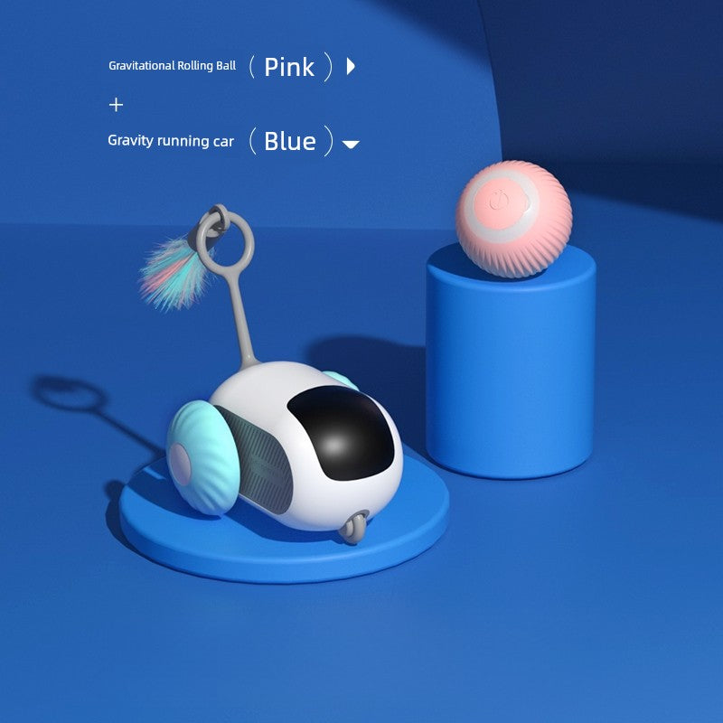 Remote Control Cat Car