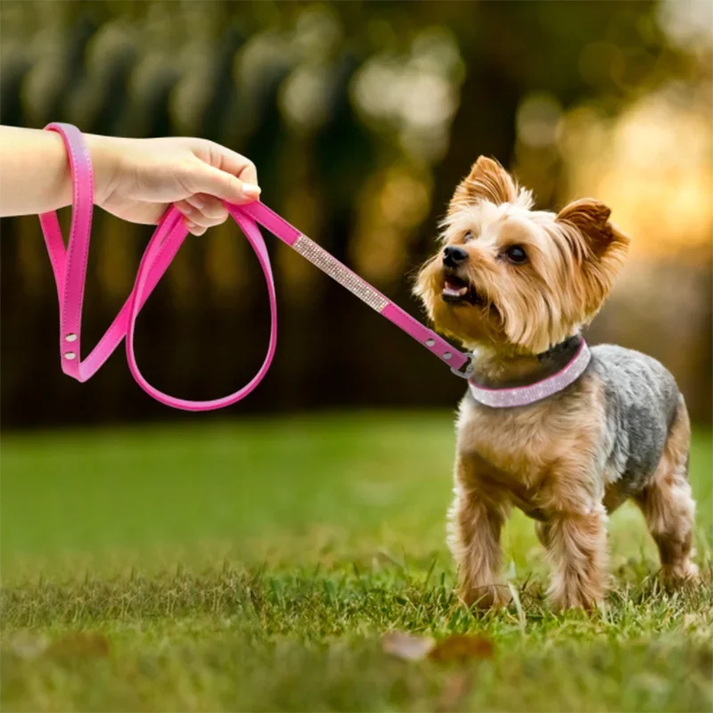 Glittering Crystal Dog Collar - Luxury Petz