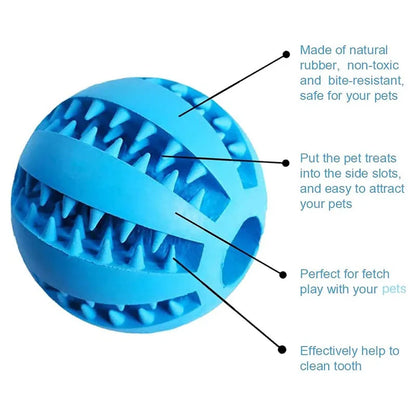 Interactive Chew Toy Ball - Luxury Petz