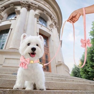 Pink Bowtie Dog Collar Set - Luxury Petz