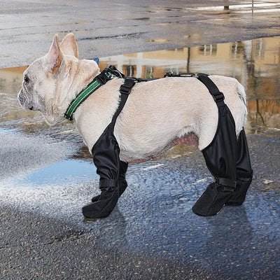 Waterproof Adjustable Dog Shoes - Luxury Petz