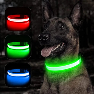 GlowSafe LED Pet Collar - Luxury Petz
