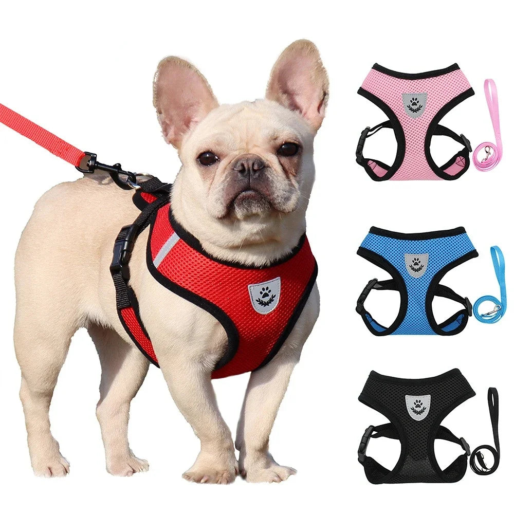 Summer Pet Harness Vest - Luxury Petz